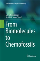 Branimir Jovan¿i¿evi¿, Branimir Jovancicevic, Branimir Jovančićević, Ja Schwarzbauer, Jan Schwarzbauer - From Biomolecules to Chemofossils