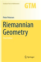 Peter Petersen - Riemannian Geometry