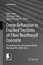 Sergio H. P. Cavalaro, Sergio H P Cavalaro, Aito Llano-Torre, Aitor Llano-Torre, Pedro Serna - Creep Behaviour in Cracked Sections of Fibre Reinforced Concrete