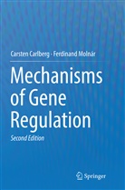Carste Carlberg, Carsten Carlberg, Ferdinand Molnar, Ferdinand Molnár - Mechanisms of Gene Regulation