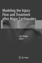 Lul Zhang, Lulu Zhang, Lu-lu Zhang - Modeling the Injury Flow and Treatment after Major Earthquakes