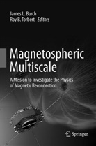 B Torbert, B Torbert, James L. Burch, Jame L Burch, James L Burch, Roy B. Torbert - Magnetospheric Multiscale