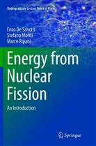 Enz De Sanctis, Enzo De Sanctis, Stefan Monti, Stefano Monti, Marco Ripani - Energy from Nuclear Fission