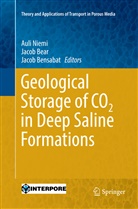 Jaco Bear, Jacob Bear, Jacob Bensabat, Auli Niemi - Geological Storage of CO2 in Deep Saline Formations