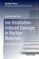 Diana Bachiller Perea - Ion-Irradiation-Induced Damage in Nuclear Materials