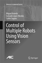 Migue Aranda, Miguel Aranda, Gonzal López-Nicolás, Gonzalo López-Nicolás, Carl Sagüés, Carlos Sagüés - Control of Multiple Robots Using Vision Sensors