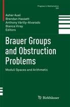 Asher Auel, Brenda Hassett, Brendan Hassett, Anthony Várilly-Alvarado, Anthony Várilly-Alvarado et al, Bianca Viray - Brauer Groups and Obstruction Problems