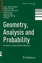 Jean-Benoît Bost, Helmu Hofer, Helmut Hofer, François Labourie, François Labourie et al, Yves Le Jan... - Geometry, Analysis and Probability