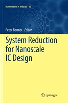 Pete Benner, Peter Benner - System Reduction for Nanoscale IC Design