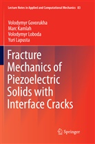 Volodymy Govorukha, Volodymyr Govorukha, Mar Kamlah, Marc Kamlah, Yuri Lapusta, Volodymy Loboda... - Fracture Mechanics of Piezoelectric Solids with Interface Cracks