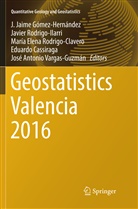 Eduardo Cassiraga, Elena Rodrigo-Clavero et al, J. Jaime Gómez-Hernández, María Elena Rodrigo-Clavero, Javie Rodrigo-Ilarri, Javier Rodrigo-Ilarri... - Geostatistics Valencia 2016