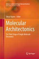 Takuj Ogawa, Takuji Ogawa - Molecular Architectonics