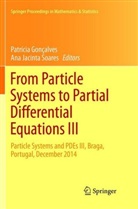 Patríci Gonçalves, Patrícia Gonçalves, Jacinta Soares, Jacinta Soares, Ana Jacinta Soares - From Particle Systems to Partial Differential Equations III