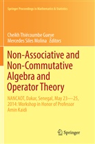 Cheikh Thiécoumbe Gueye, Mercedes Siles Molina, Siles Molina, Siles Molina, Cheik Thiécoumbe Gueye, Cheikh Thiécoumbe Gueye - Non-Associative and Non-Commutative Algebra and Operator Theory
