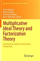 Scott Chapman, Marc Fontana, Marco Fontana, Alfred Geroldinger, Alfred Geroldinger et al, Bruce Olberding - Multiplicative Ideal Theory and Factorization Theory