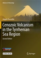 Angelo Peccerillo - Cenozoic Volcanism in the Tyrrhenian Sea Region