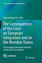 Steli Mangiameli, Stelio Mangiameli - The Consequences of the Crisis on European Integration and on the Member States