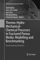 Sebastian Bauer, Uwe-Jen Görke, Uwe-Jens Görke, Olaf Kolditz, Hua Shao, Hua Shao et al... - Thermo-Hydro-Mechanical-Chemical Processes in Fractured Porous Media: Modelling and Benchmarking
