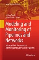 Torres, Torres, Lizeth Torres, Cristin Verde, Cristina Verde - Modeling and Monitoring of Pipelines and Networks