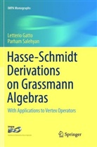 Letteri Gatto, Letterio Gatto, Parham Salehyan - Hasse-Schmidt Derivations on Grassmann Algebras