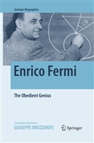 Giuseppe Bruzzaniti - Enrico Fermi