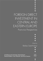 Baláz Szent-Iványi, Balázs Szent-Iványi - Foreign Direct Investment in Central and Eastern Europe