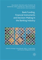 Santiago Carbó Valverde, Pedro Jesús Cuadros Solas, Pedr Jesús Cuadros Solas, Pedro Jesús Cuadros Solas, Fr Rodríguez Fernández, Francisco Rodríguez Fernández - Bank Funding, Financial Instruments and Decision-Making in the Banking Industry