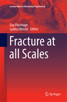 Milovic, Milovic, Ljubica Milovic, Gu Pluvinage, Guy Pluvinage - Fracture at all Scales