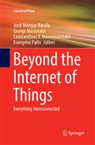 Jordi Mongay Batalla, Georg Mastorakis, George Mastorakis, Constandinos X. Mavromoustakis, Evangelos Pallis, Constan X Mavromoustakis et al - Beyond the Internet of Things