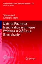 Stéphan Avril, Stéphane Avril, Evans, Evans, Sam Evans - Material Parameter Identification and Inverse Problems in Soft Tissue Biomechanics