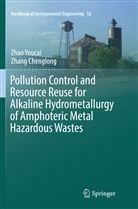 Zhang Chenglong, Zha Youcai, Zhao Youcai - Pollution Control and Resource Reuse for Alkaline Hydrometallurgy of Amphoteric Metal Hazardous Wastes