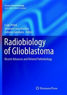Antonio Giordano, Giovanni Luca Gravina, Giovann Luca Gravina, Giovanni Luca Gravina, Luigi Pirtoli - Radiobiology of Glioblastoma