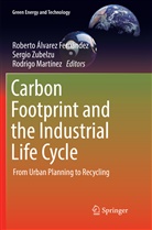 Roberto Álvarez Fernández, Rodrigo Martínez, Sergi Zubelzu, Sergio Zubelzu - Carbon Footprint and the Industrial Life Cycle