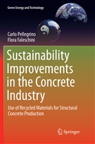Flora Faleschini, Carl Pellegrino, Carlo Pellegrino - Sustainability Improvements in the Concrete Industry