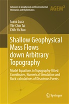 Chih-Yu Kuo, Ioan Luca, Ioana Luca, Yih-Chi Tai, Yih-Chin Tai - Shallow Geophysical Mass Flows down Arbitrary Topography