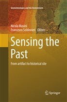 Nicol Masini, Nicola Masini, Soldovieri, Soldovieri, Francesco Soldovieri - Sensing the Past