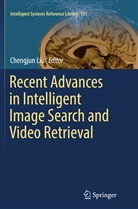Chengju Liu, Chengjun Liu - Recent Advances in Intelligent Image Search and Video Retrieval