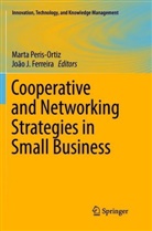 João J. Ferreira, J Ferreira, J Ferreira, Mart Peris-Ortiz, Marta Peris-Ortiz - Cooperative and Networking Strategies in Small Business