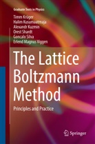 Tim Krüger, Timm Krüger, Hali Kusumaatmaja, Halim Kusumaatmaja, Alexandr Kuzmin, Orest Shardt... - The Lattice Boltzmann Method