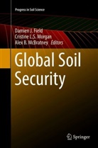 Alex B McBratney, Damien J. Field, Cristin L S Morgan, Cristine L S Morgan, Alex B. McBratney, Alex. B. McBratney... - Global Soil Security