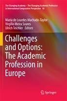 Maria de Lourdes Machado-Taylor, Virgíli Meira Soares, Virgílio Meira Soares, Virgílio Meira Soares, Ulrich Teichler - Challenges and Options: The Academic Profession in Europe