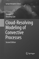 Shouting Gao, Xiaofa Li, Xiaofan Li - Cloud-Resolving Modeling of Convective Processes