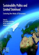 Alejandro Esguerra, Nicol Helmerich, Nicole Helmerich, Thomas Risse - Sustainability Politics and Limited Statehood