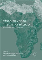 Ifedapo Adeleye, Nathaniel Boso, Lya White, Lyal White - Africa-to-Africa Internationalization