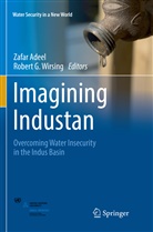 Zafa Adeel, Zafar Adeel, G Wirsing, G Wirsing, Robert G. Wirsing - Imagining Industan