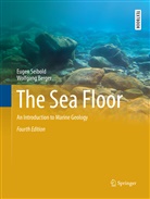 Wolfgang Berger, Euge Seibold, Eugen Seibold - The Sea Floor