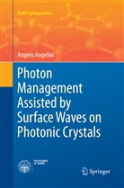 Angelo Angelini - Photon Management Assisted by Surface Waves on Photonic Crystals