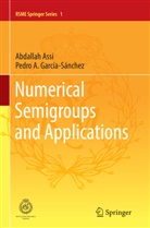 Abdalla Assi, Abdallah Assi, Pedro A García-Sánchez, Pedro A. García-Sánchez - Numerical Semigroups and Applications