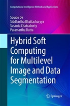 Siddharth Bhattacharyya, Siddhartha Bhattacharyya, Chakraborty, Susanta Chakraborty, Soura De, Sourav De... - Hybrid Soft Computing for Multilevel Image and Data Segmentation