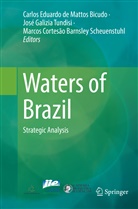 Cortesão Barnsley Scheuenstu, Marcos Cortesão Barnsley Scheuenstuhl, Carlos Eduardo de Mattos Bicudo, Jos Galizia Tundisi, José Galizia Tundisi - Waters of Brazil